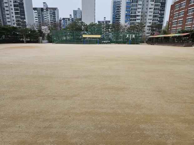 학교 운동장 잡초 제거? 전문 시공으로 안전하고 효과적인 관리하세요! 관련 이미지