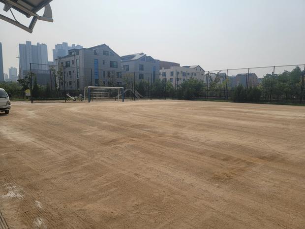 학교 운동장 잡초 제거, 안전 & 신뢰까지! 전문 시공으로 완벽 관리!