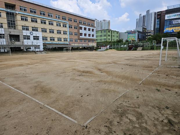 만호동초등학교 운동장 잡초 제거, 전문가로부터 실질적인 안전과 효율성! 관련 이미지