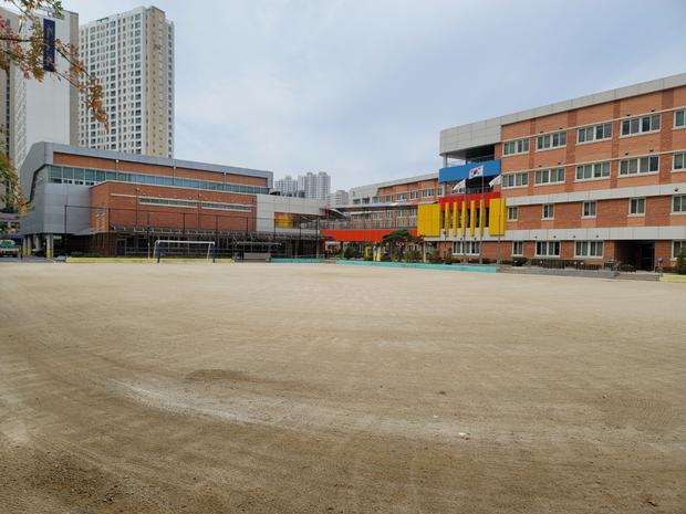 운동장 관리, 안전은 100% 확실하게: 상동병설유치원 운동장 전문관리