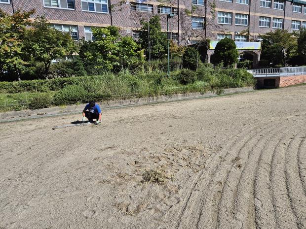 하당동유치원 운동장 잡초 제거: 전문 시공으로 안전하고 건강한 활동 공간 만들기!