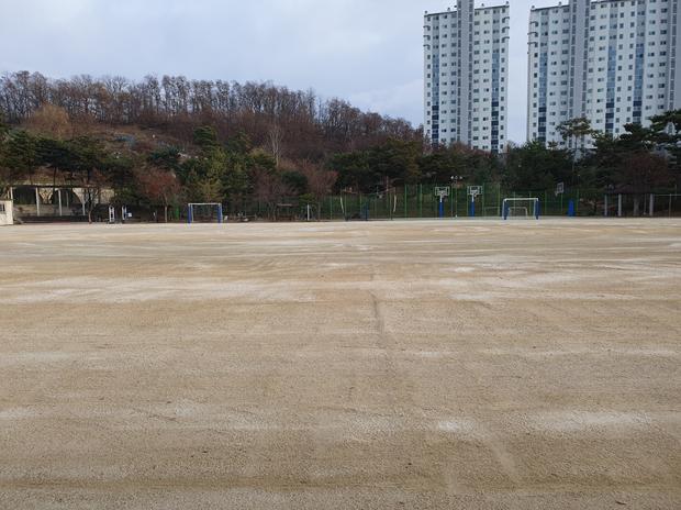 신흥동고등학교 운동장 잡초 제거: 전문 시공으로 안전하고 효과적인 관리! 관련 이미지