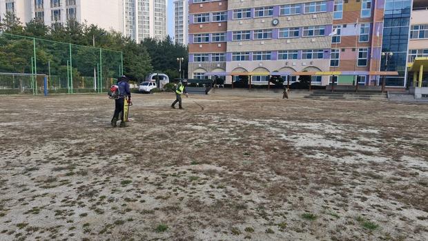 부주동유치원 운동장 잡초 제거: 전문 시공으로 안전하고 효과적인 관리!