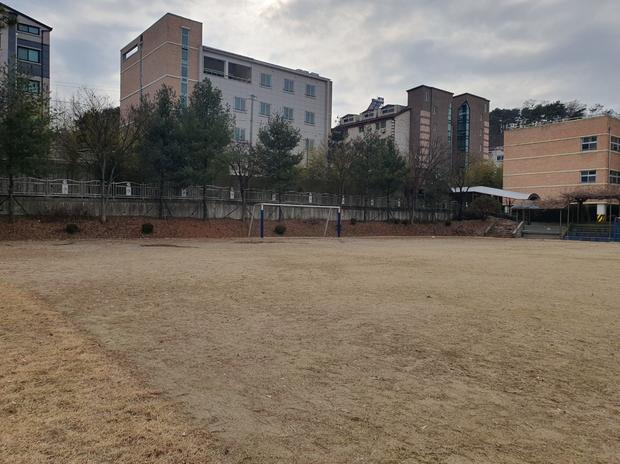 돌산읍고등학교 운동장 잡초 제거, 전문 시공으로 안전하고 깨끗하게!
