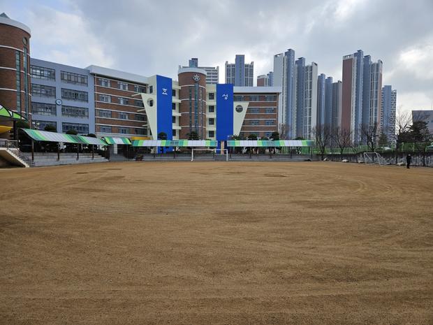 소라면어린이집 운동장 관리: 안전과 쾌적함을 위한 전문가 서비스! 관련 이미지