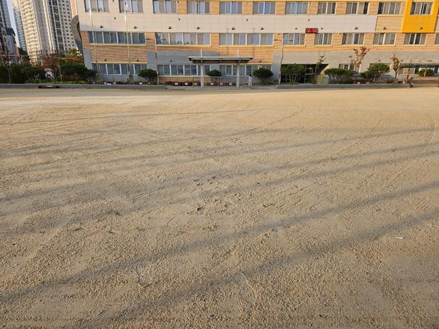 화양면고등학교 운동장 모래보충, 전국산업안전 꼼꼼하게! 관련 이미지
