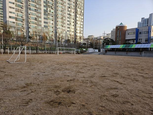 학교 운동장 관리 ❌ 안전 문제? 전문 시공으로 방지하세요!