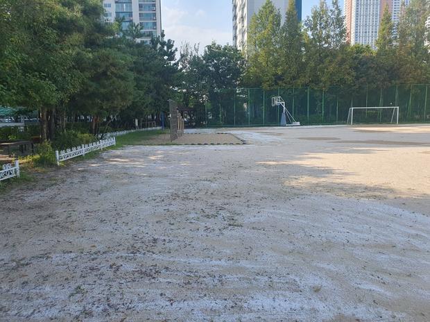 삼산면 어린이집 운동장 소금살포: 전국산업안전으로 안전하고 품질 높은 운동장 만들어보세요!