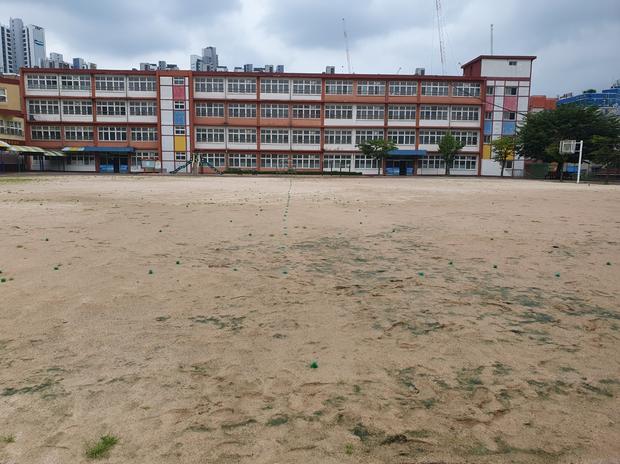 한려동고등학교 운동장 관리 전문가, 안전 & 신뢰성 최우선!