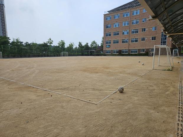 충무동중학교 운동장 관리: 전문가 팁으로 안전과 최고 성능 달성!