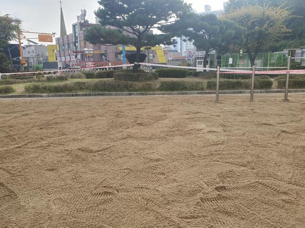 충무동어린이집운동장잡초제거: 전문가가 알려줄 안전한 방법! 관련 이미지