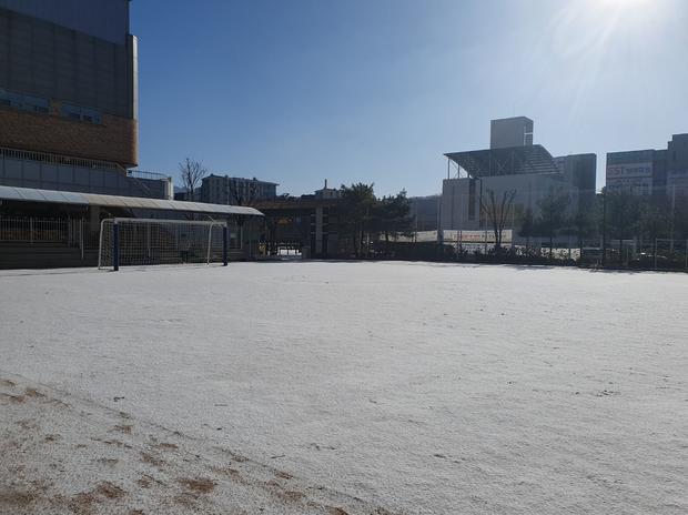 광림동중학교 운동장 잡초 제거, 전문 시공으로 안전하고 깨끗하게!