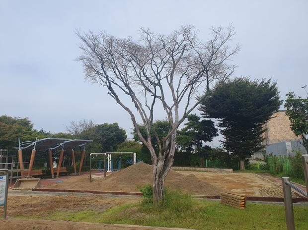 만덕동초등학교 운동장 관리, 안전 확보는 전국산업안전 ?!