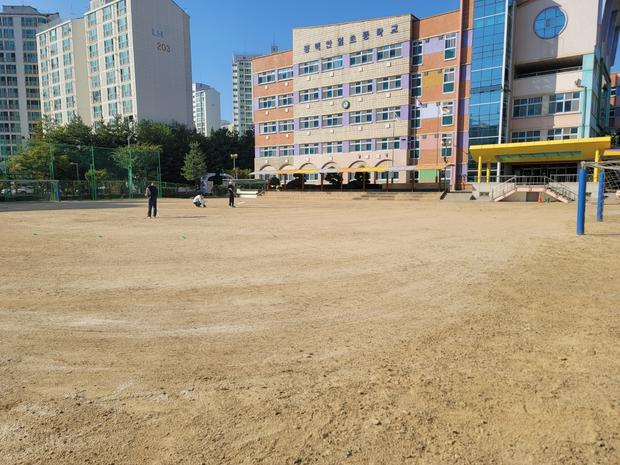 여천동병설유치원 운동장 소금살포: 전문 시공으로 걱정 끝!