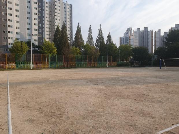 서면초등학교 운동장 관리, 안전 & 품질까지! 전문 시공으로 최고 수준 확보! 관련 이미지