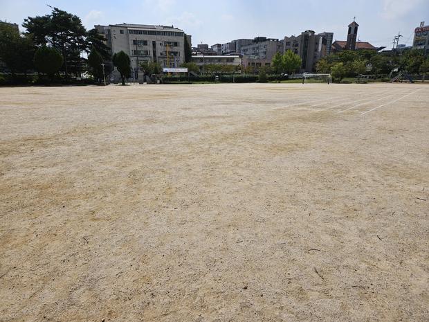 황전면고등학교 운동장 관리, 안전 & 최적화 핵심 전문가 ?  (업체명)