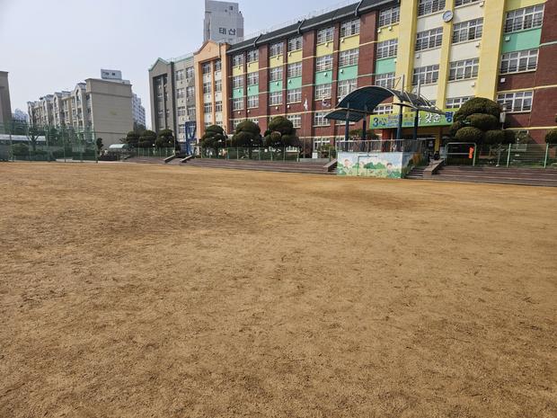 월등면초등학교 운동장 모래보충, 전국산업안전으로 튼튼한 놀이 공간 만들어보세요!