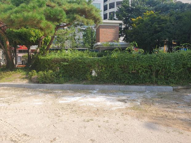 학교 운동장 모래보충 ⚠️ 안전 & 신뢰성 확보! 송광면병설유치원