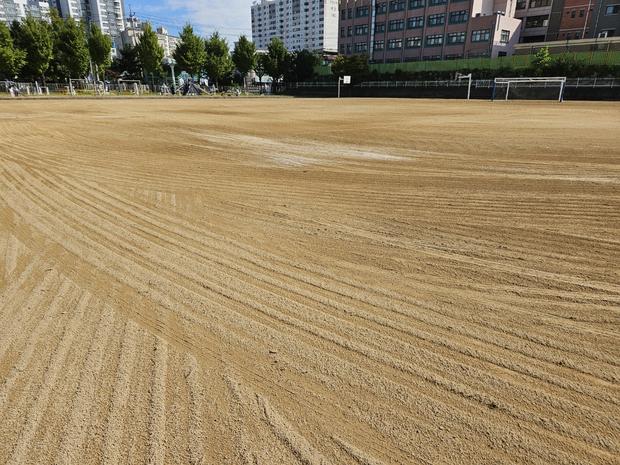 덕연동유치원 운동장 소금살포: 전문 시공으로 안전하고 깨끗하게!