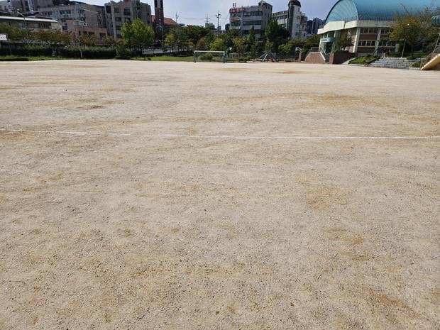 학교 운동장 잡초 제거: 전문가로부터 안전하고 효과적인 방법!