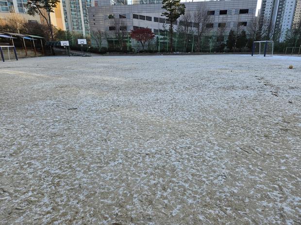 학교 운동장, 안전 설치! 전문 시공으로 신뢰를 향상! 관련 이미지