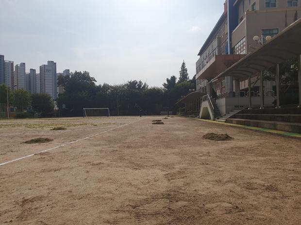 학교 운동장 유지보수: 전국산업안전으로 안전하고 튼튼하게!