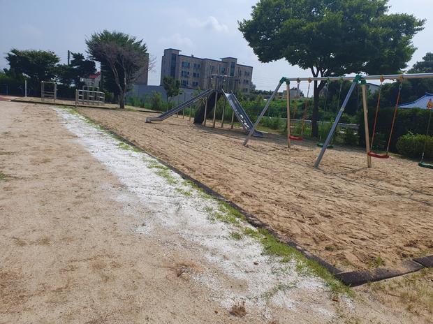 동강면중학교 운동장 잡초 제거: 전문 시공으로 안전하고 효과적인 관리!
