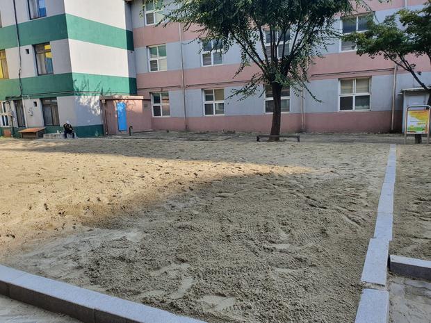 노안면중학교 운동장 잡초 제거, 전문 시공으로 안전하고 깔끔하게! 관련 이미지