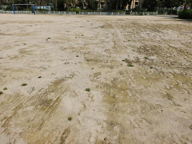 노안면고등학교 운동장 잡초 제거: 전문 시공으로 안전하고 지속 가능한 운영 관련 이미지