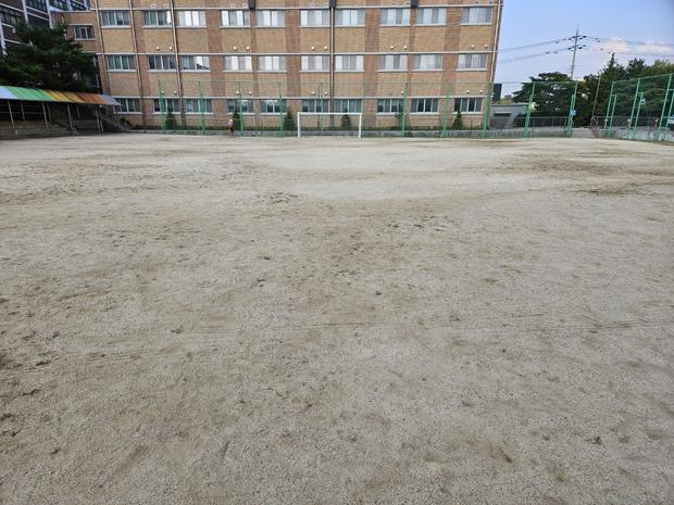 금남동고등학교 운동장 안전 소금살포 : 전문 시공으로 최적화된 쾌적한 공간 만들기!