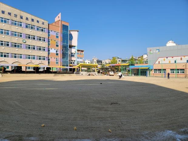 학교 운동장 유지보수, 안전 100%  ? 영산동초등학교 전문 관리!