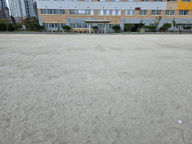 광양시초등학교 운동장 잡초 제거 전문가로 안전한 운동장 만들기! 관련 이미지