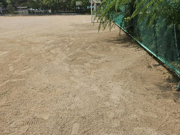 광양읍중학교 운동장 잡초 제거: 전문 시공으로 안전하고 깨끗한 공간 만들어보세요! 관련 이미지