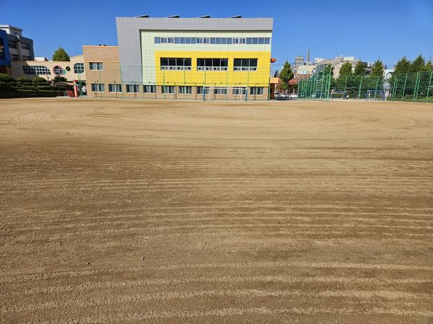 옥곡면중학교 운동장 잡초 제거, 전문 시공으로 안전하고 깨끗한 공간 만들어보세요!