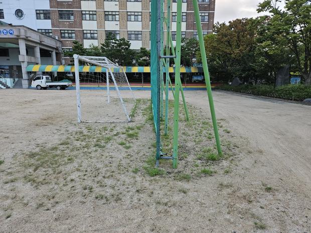 학교 운동장 잡초 제거, 전문 시공으로 안전하고 깨끗하게!