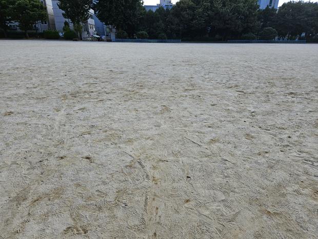 진월면중학교 운동장 관리, 전국산업안전으로 더욱 튼튼한 놀이터 만들어보세요!