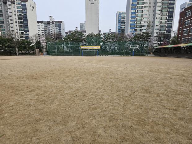 학교 운동장 모래보충, 안전성 확보 전문가를 찾고 계신가요?