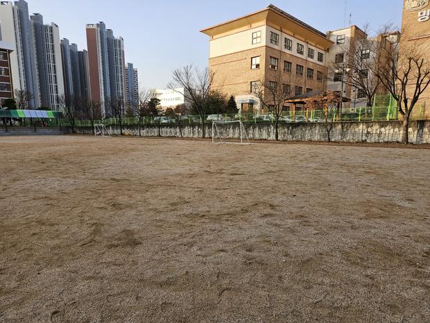 다압면초등학교 운동장 관리: 안전과 품질 UP! 전국산업안전, 이렇게 하세요!