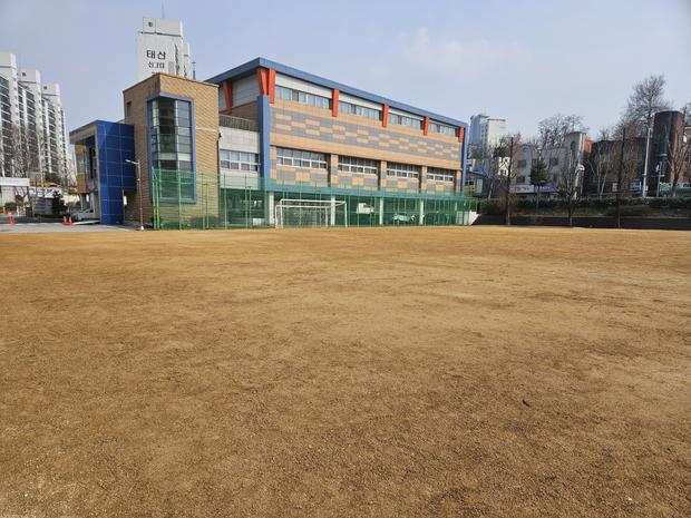 금호동유치원 운동장 잡초 제거 전문가로, 안전하고 깨끗한 장비를 위한 핵심  팁! 관련 이미지