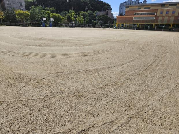 금호동어린이집 운동장 관리: 전문 시공, 안전과 쾌적한 공간 만들기!
