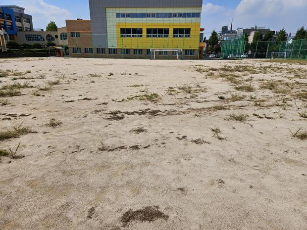 태인동고등학교 운동장 모래보충, 전국산업안전으로 걱정 끝!