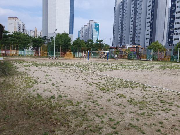 대덕면초등학교 운동장 소금살포: 전국산업안전으로 안전하고 튼튼한 운동장 만들기!