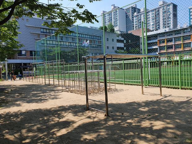 용면병설유치원 운동장 잡초 제거 전문가로 안전하고 쾌적한 공간 만들기! 관련 이미지