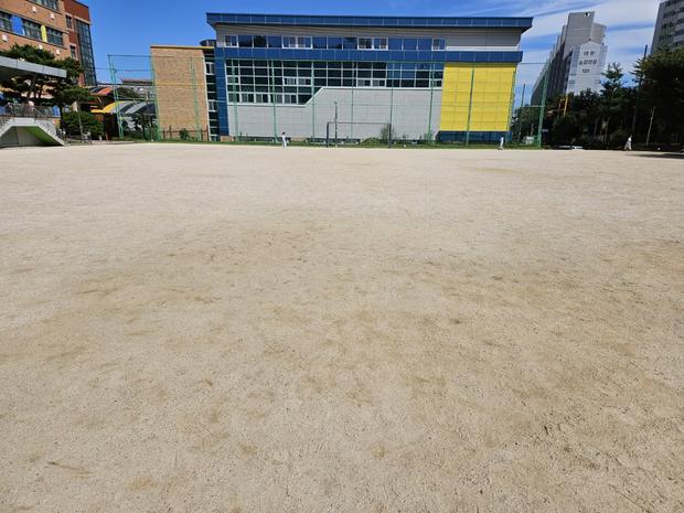 월산면중학교 운동장 소금살포: 전문 시공으로 안전하고 깨끗하게!