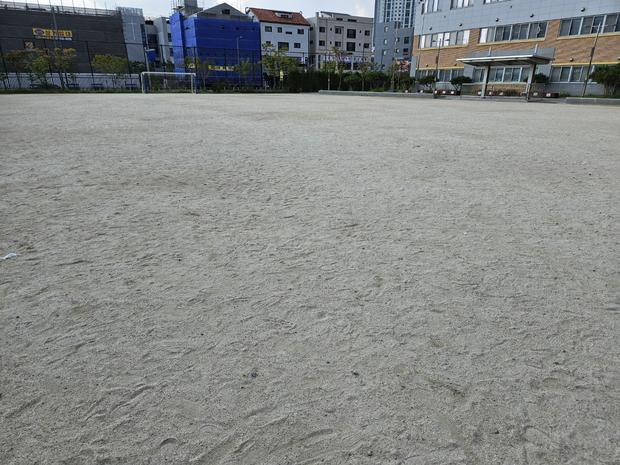 대전면초등학교 운동장 안전관리, 전문가 팁으로 걱정 없이 즐겁게!