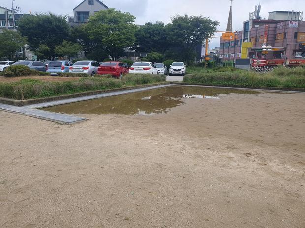 학교 운동장 잡초 제거: 전국산업안전으로 안전하고  좋아하는 운동장 만들기! 관련 이미지