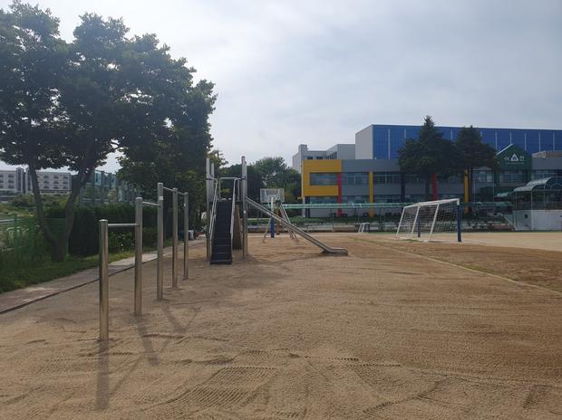 학교 운동장 잡초 제거: 전문 시공으로 안전하고 건강한 환경 만들기!