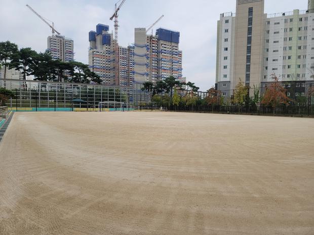 학교 운동장 잡초 제거? 전문 시공으로 안전하고 지속가능한 놀이터 만들기 관련 이미지