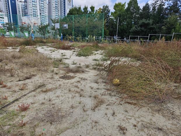 입면 고등학교 운동장 소금살포: 전문적인 안전 관리로 건강하고 장점이 넘치는 운영