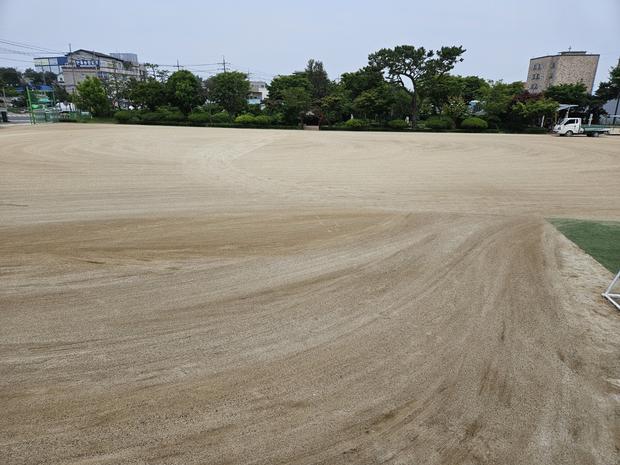 문척면초등학교 운동장 잡초 제거: 전문가로부터 안전과 효율적인 방법! 관련 이미지